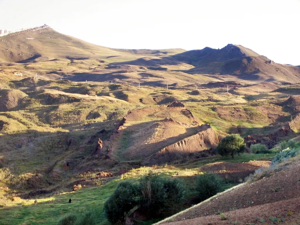 The Durupınar Formation, the Ark