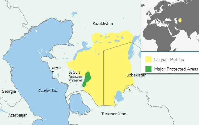 Плато Устюрт