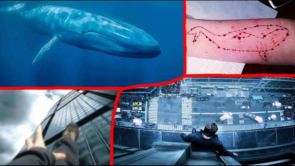 The "Blue Whale" — 4