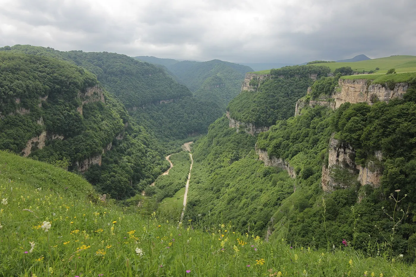 The Almasty of Kabardino-Balkaria