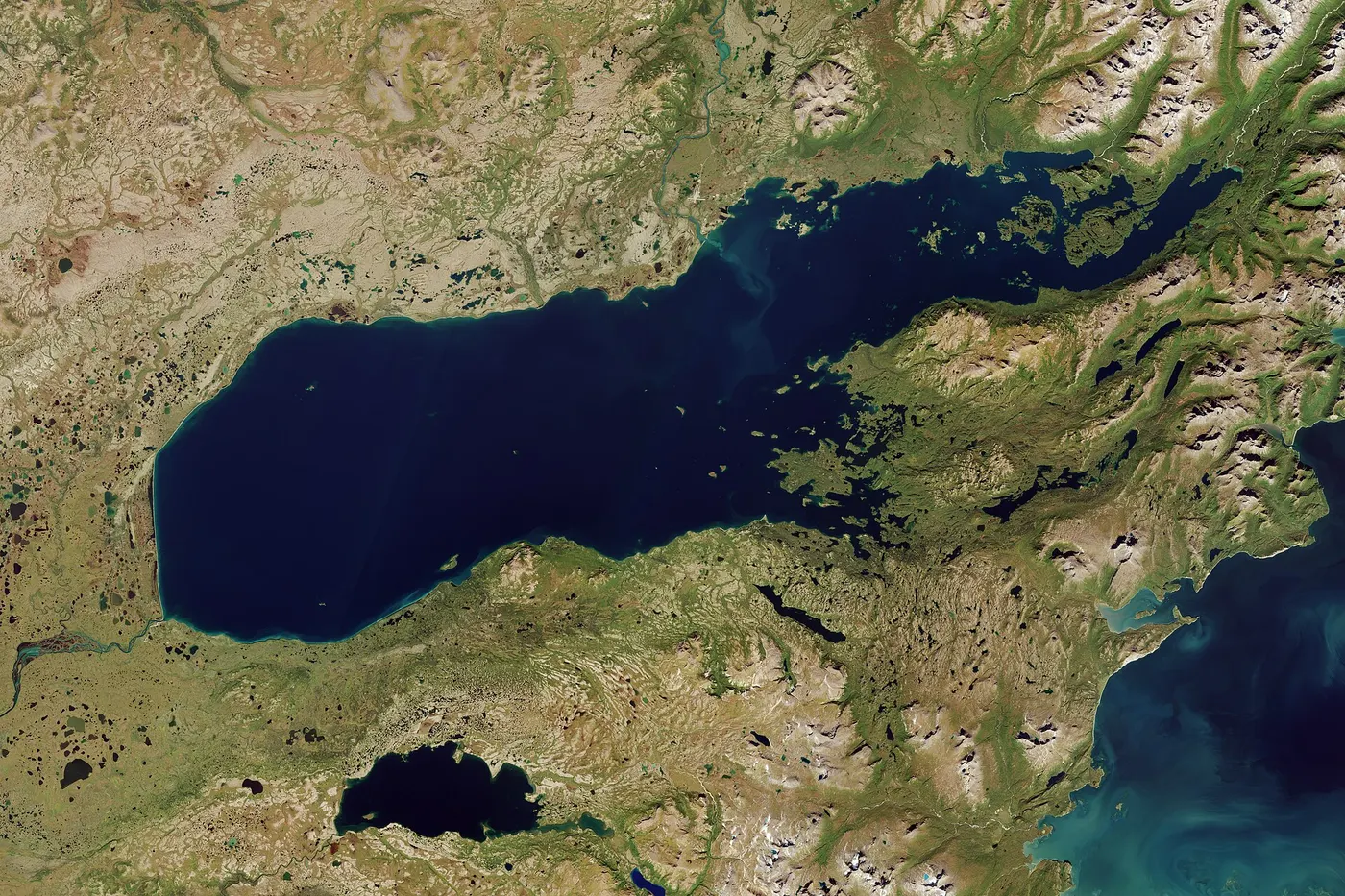 Lake Iliamna and Its Monsters